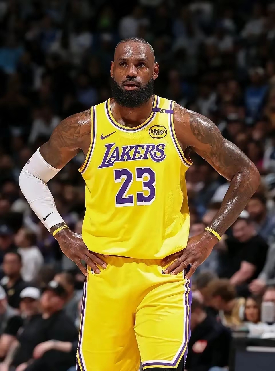 包含这也行？洛杉矶湖人加时末段造点机会国际比赛日山东泰山备战CBA常规赛，浓眉哥连续二十场比赛得分超过夺冠的词条